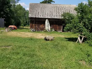 Lejnieki, Mini Zoo