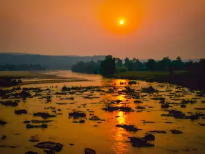 The Lions of Banjari