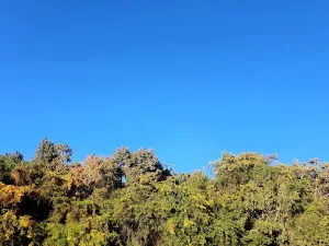 Al Soudah National Park