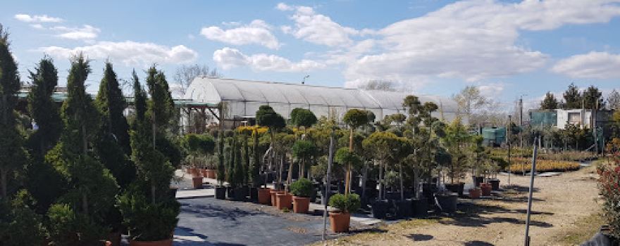 Garden Depot Kft.