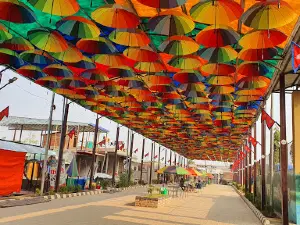 UMBRELLA STREET, PATIHANI