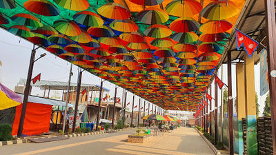 UMBRELLA STREET, PATIHANI