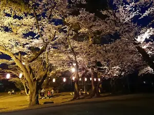 Towada City Central Park