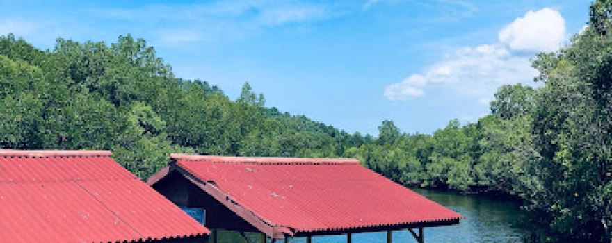 Wisata Mangrove Desa Palaes