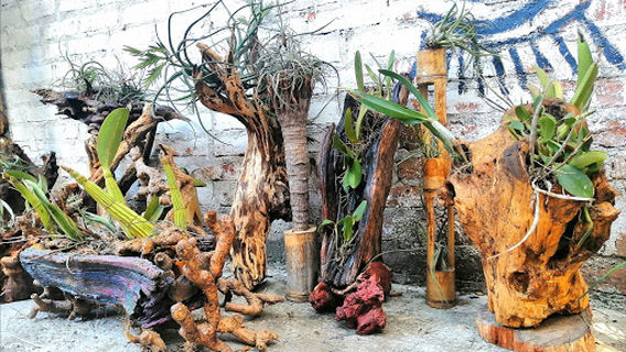 Arte Natural