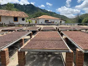 Sítio Conceição - Café Terral Ecológico