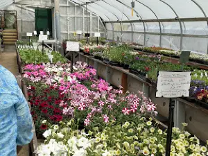 Sodak Gardens