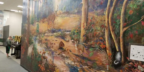 Discovery Place Interactive Museum