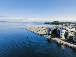 Trondheim Fjord