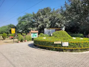 Pipli Mini Zoo