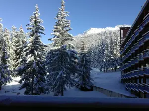 ADS- Domaine de montagne Les Arcs / Peisey-Vallandry