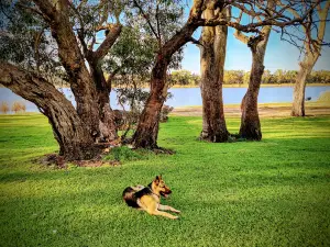 Lakeside Camping Ground