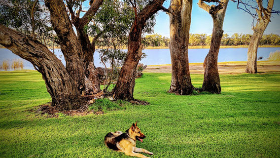 Mannum