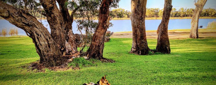 Lakeside Camping Ground