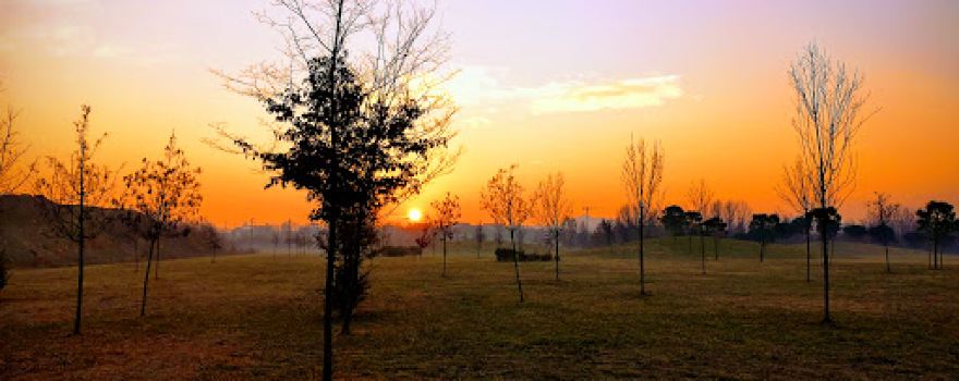 Hippodrome Urban Park