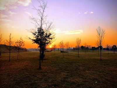 Hippodrome Urban Park