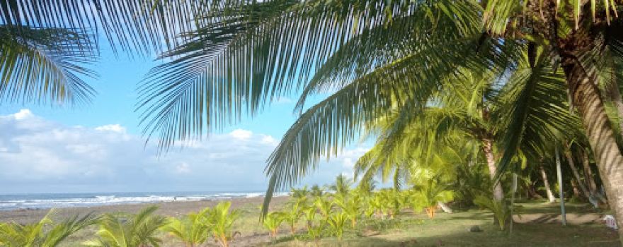 Camping Rancho La Amistad