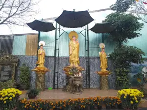 Chùa Tịnh Quang