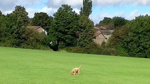 Horndale Park