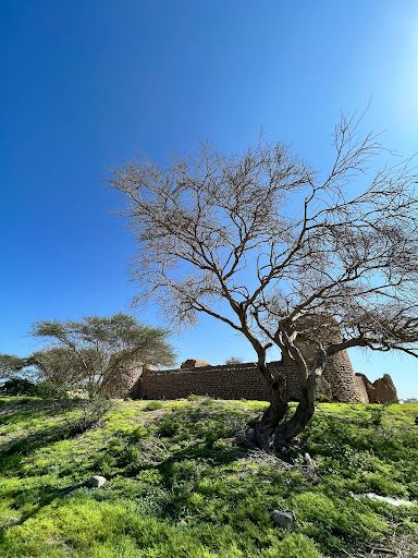 Al-Rumais Fort | قلعة الرميس