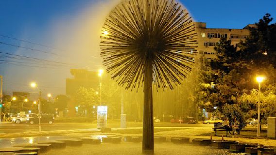 The Dandelion