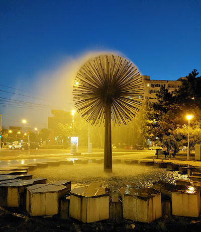 The Dandelion