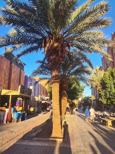Place Al-Mouahidine