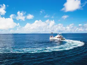 Alphonse Fishing Co · Seychelles ·