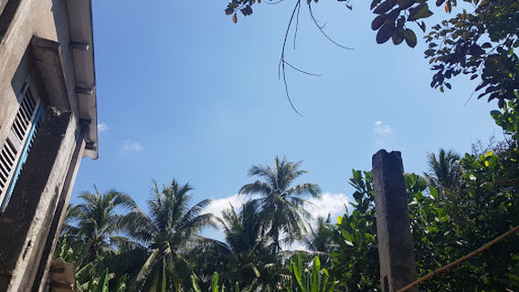 Chùa Phật Nổi