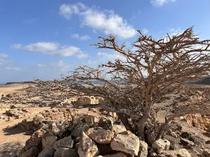 Samahram Old City / Samharam