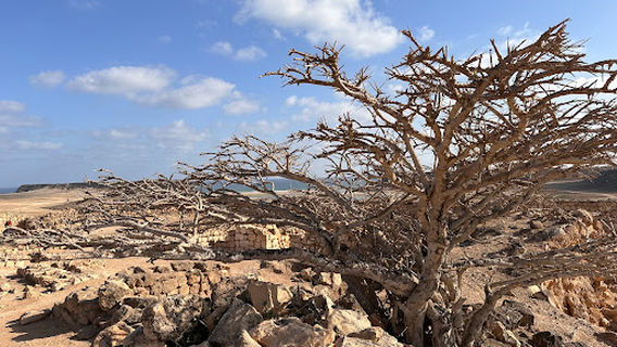 Samahram Old City / Samharam