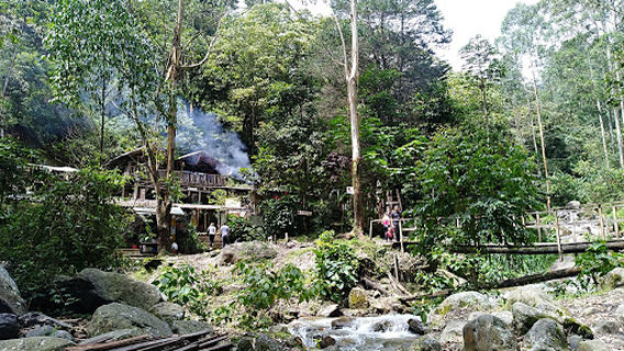 Cuevas del Higuerón - Camino Ancestral - Camino Real La Ayurá