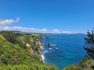 Mahinepua Peninsula Walking Track