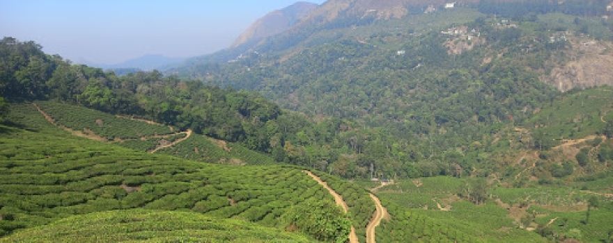 Munnar Sparrow Camping