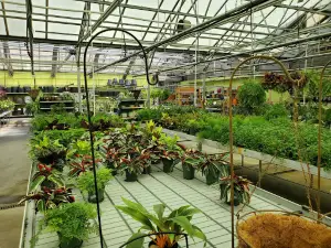Alsip Home & Nursery