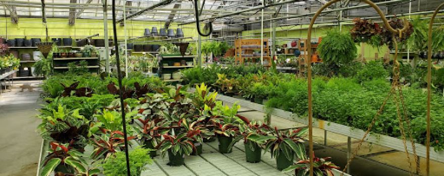 Alsip Home & Nursery