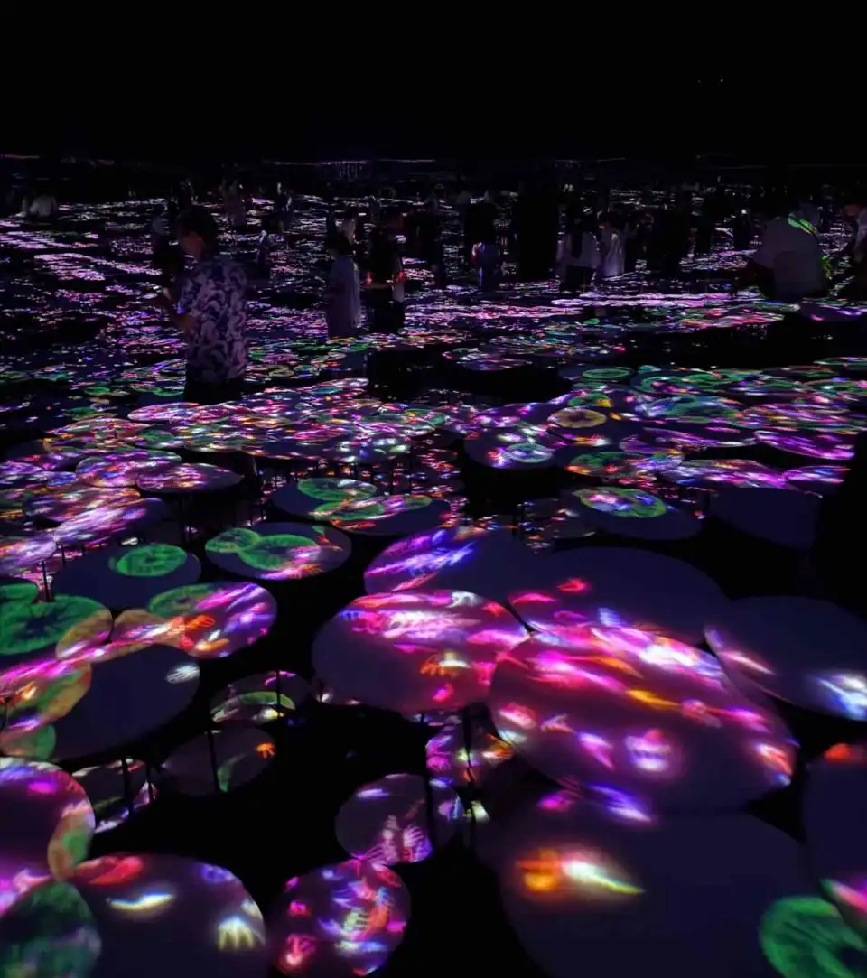 4_teamLab Borderless: MORI Building DIGITAL ART MUSEUM