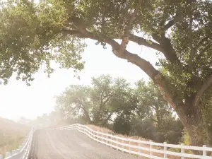 Camelot Ranch