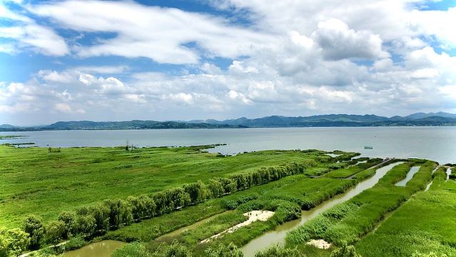 Weining Caohai Bird Watching Platform