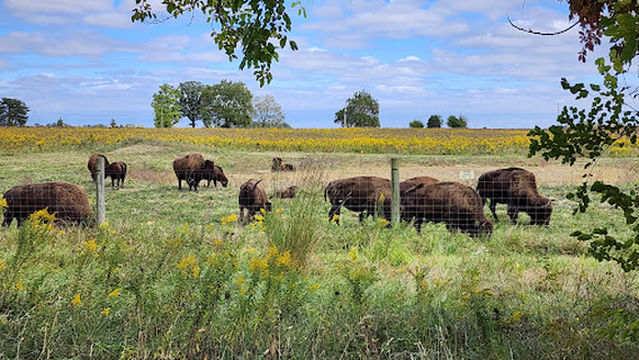 Battelle Darby Creek Metro Park