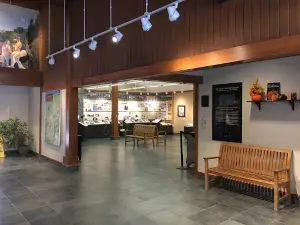 Diamond Discovery Center