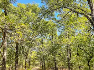 Ardmore Regional Park