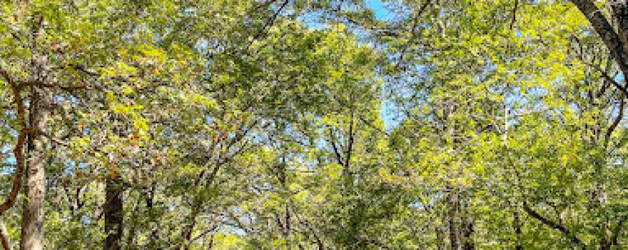 Ardmore Regional Park