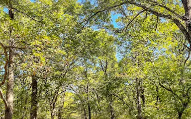 Ardmore Regional Park