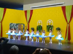 Cine Teatro House Of Culture