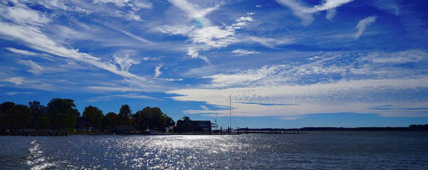 Tred Avon Yacht Club