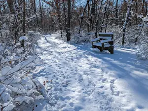 New Glarus Woods State Park