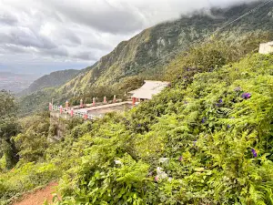 Bodi Hill West Forest