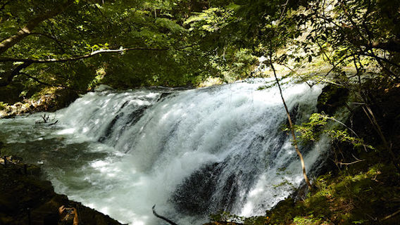 Hijirigaiwafurusatonomori Camping Ground