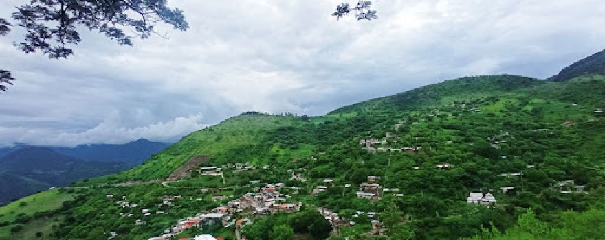 Huerta Vieja